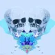 Lucid Skulls