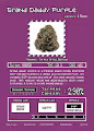 -CryptoChronic-