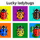 lucky-ladybug