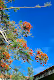 African_holiday