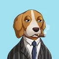 Bored Dogs Race Club