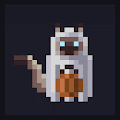 cat#2648