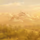 Sunature
