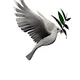 The Dove Token
