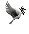 The Dove Token