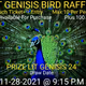 Lit Birdie Genisis Raffel