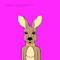 Crazy Kangaroos