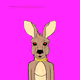 Crazy Kangaroos
