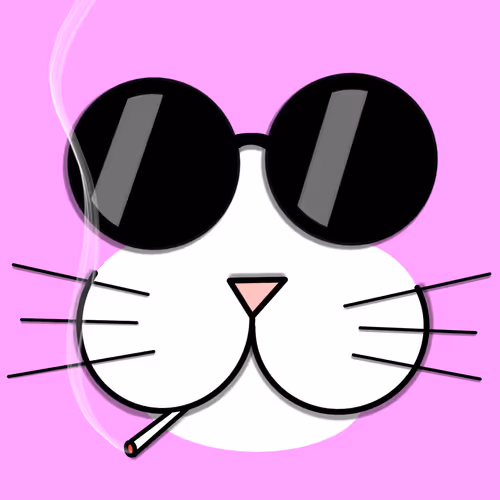 Special Expressive Cat