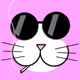 Special Expressive Cat