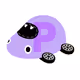 SNEACARS BEGINING(Polygon)