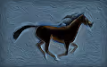 Incredible Horses