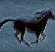 Incredible Horses