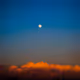 fish in the sky