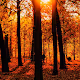 Nature in Vienna
