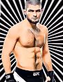 fans of khabib