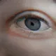 Novum V2