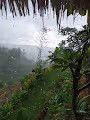otherviews