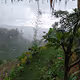 otherviews