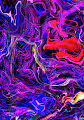 Colorful fantasies
