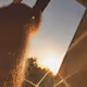 Hairy leg in golden hour