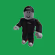 Roblox Minifigures