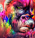 ColourSplash Gorilla Club
