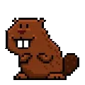 8-Beavers