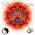 Sacred Scarabs