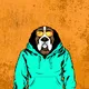 Hooded animals
