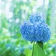 Four Seasons in Sapporo