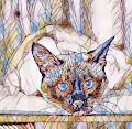 Cat Mosaic