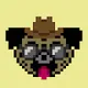 PUGMATU Collection