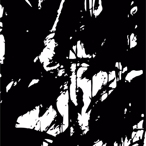 Titou Calligraphy Collection