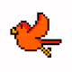 -Birds Collection-