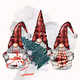 CC Gnomes