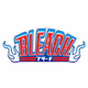 Official Bleach Collection