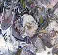 Macrocosmos