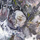 Macrocosmos