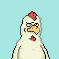 chik.z