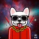 Frenchie Day&Night