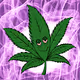 AnthroWeed