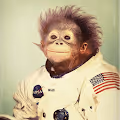 I also have Monkeys