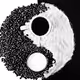 BlackyWhite