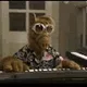 ALF N' SNACKS