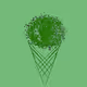 THE CONES