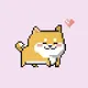 Welfare Shiba
