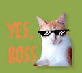 MY BOSS $$