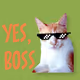 MY BOSS $$