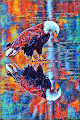 HAND DRAWN/PHOTOGRAPHY BY CRYPTOKNIGHTZCLUB